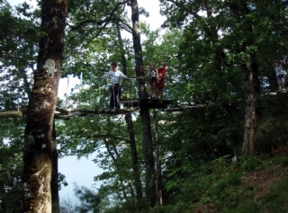  Pequeños aventureros 